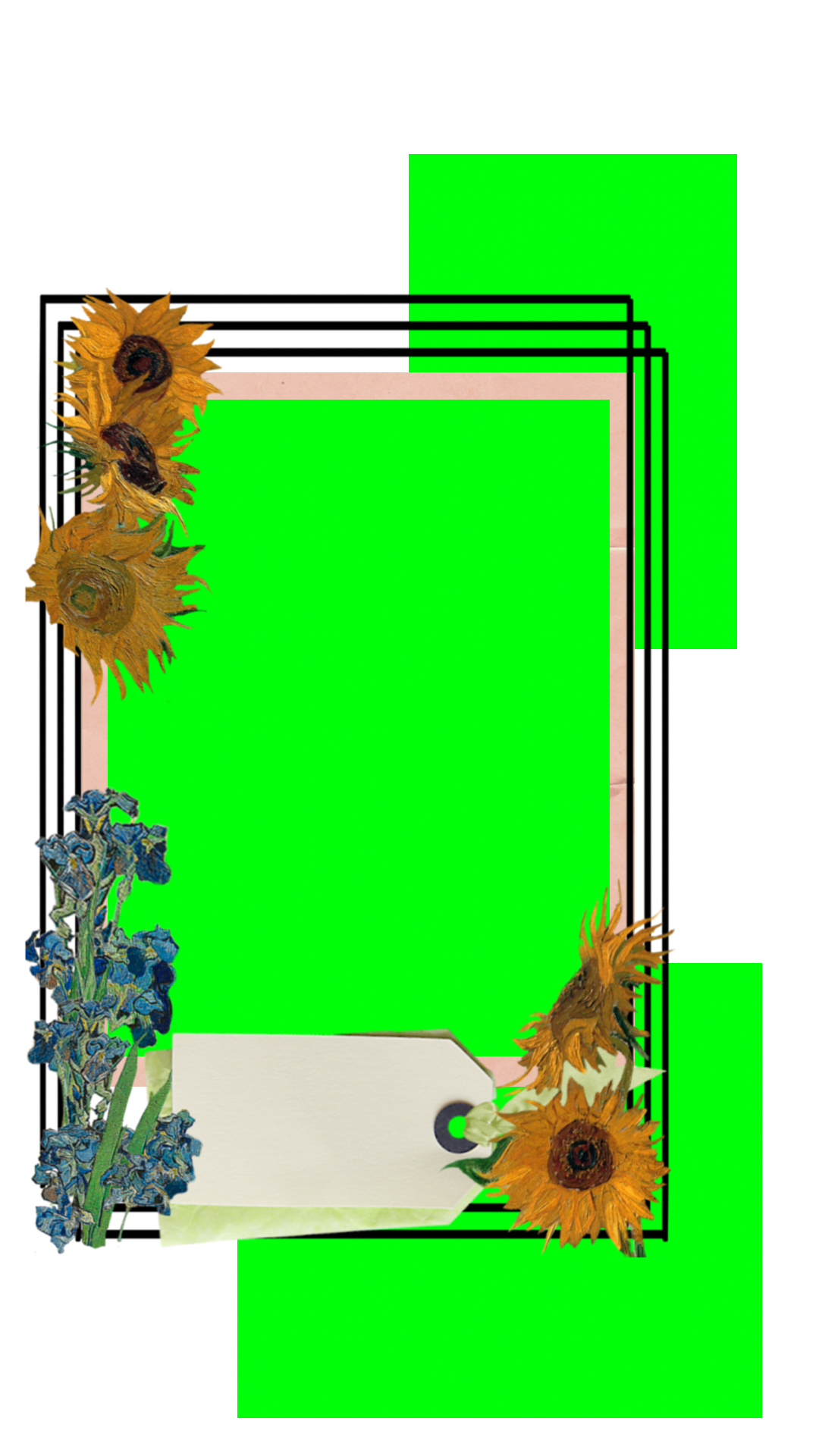 Image description